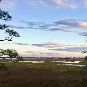 Meet your Posher, Olney